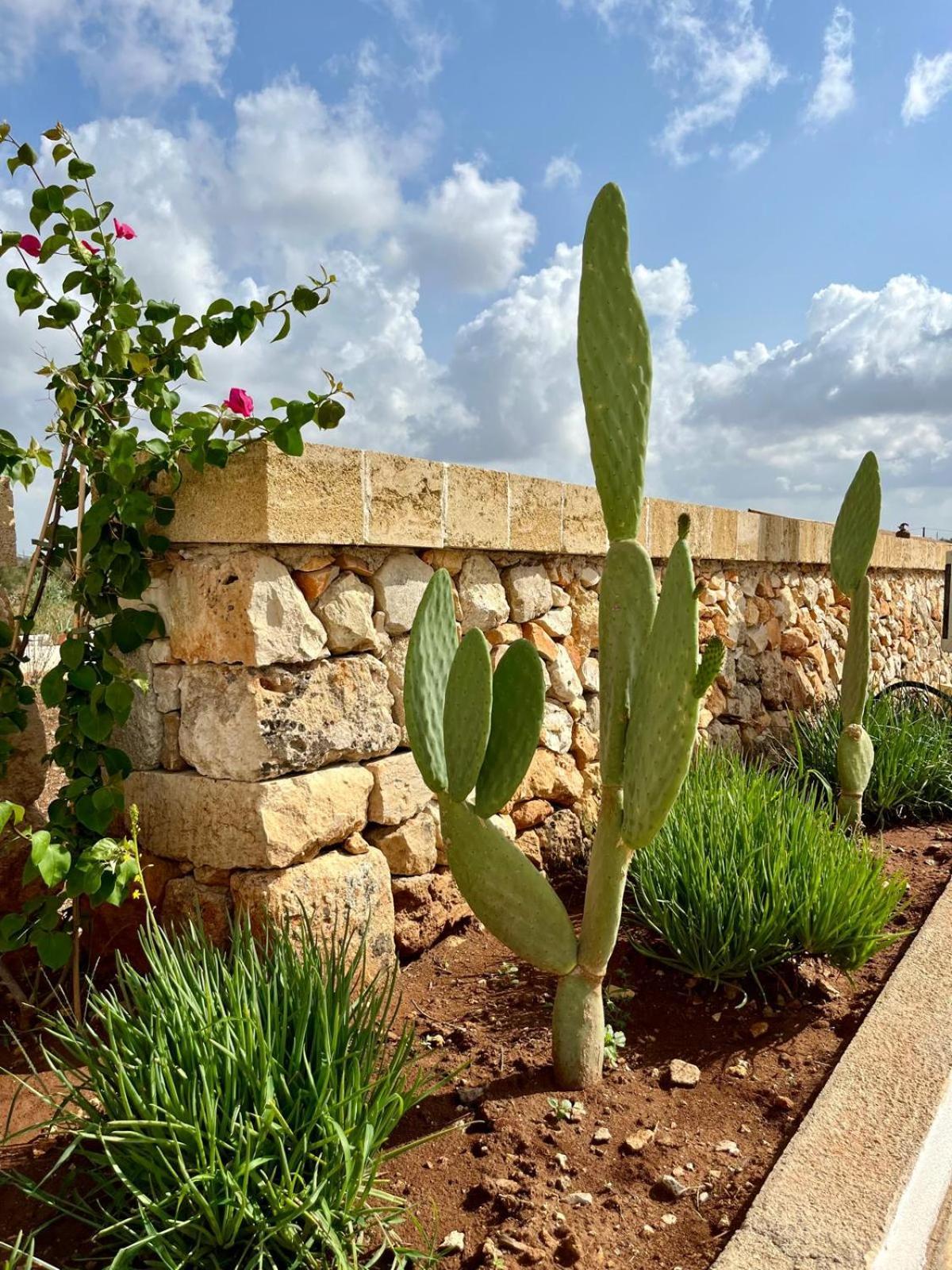 Masseria Voluzzi Copertino Kültér fotó